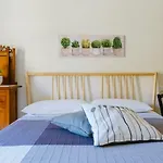Ciatu Miu 4*